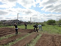 Работа на  школьном огороде   (весна 2015г.)